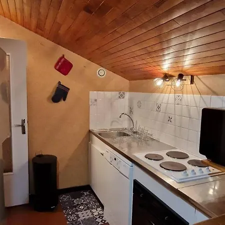 Appartement Cosy Au Pied Des Pistes Famille/amis Les Deux Alpes