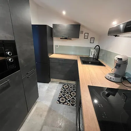 Apartment Cosy Au Pied Des Pistes Famille/amis Les Deux Alpes