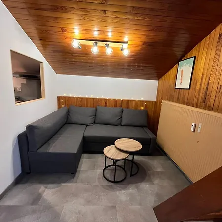 Apartment Cosy Au Pied Des Pistes Famille/amis