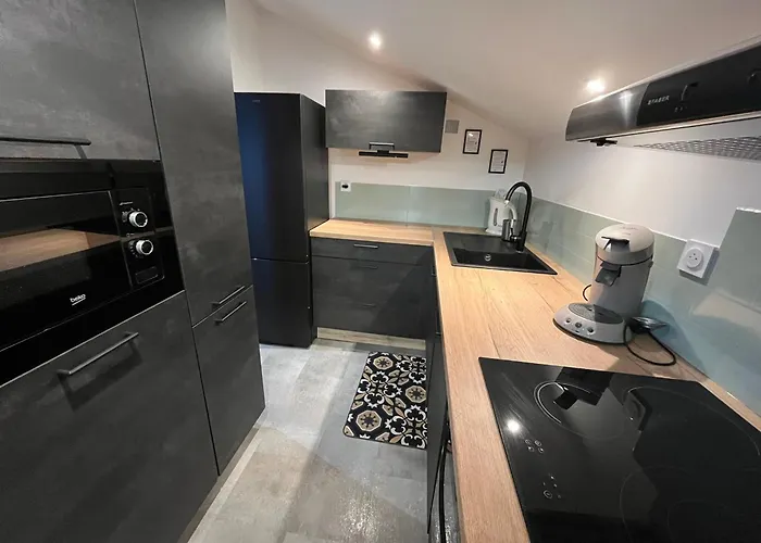 Apartment Cosy Au Pied Des Pistes Famille/amis Les Deux Alpes